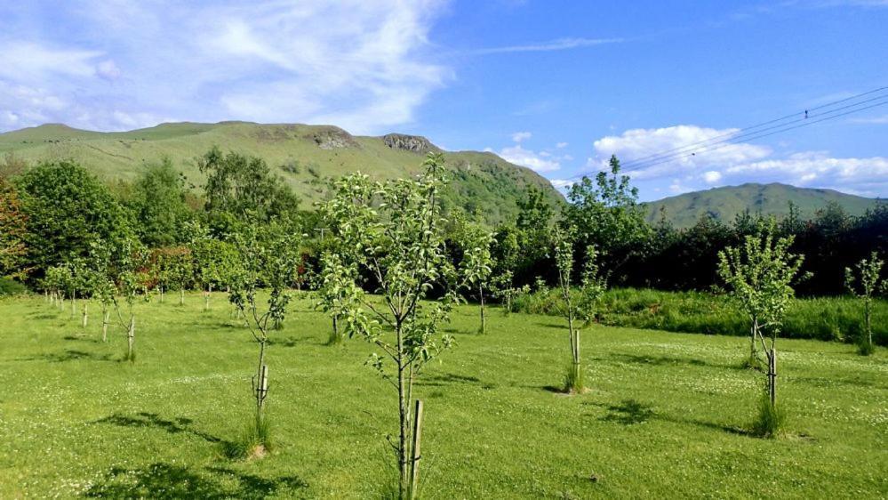 Foxglove Cottage Maybole 외부 사진